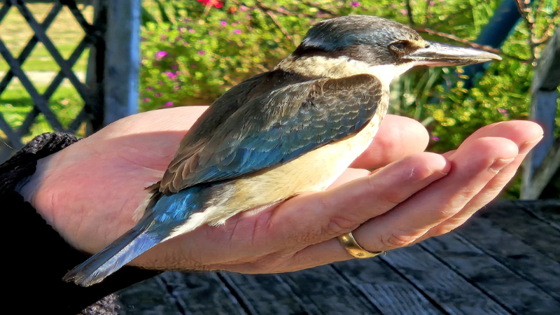 800x800 Our Paradise