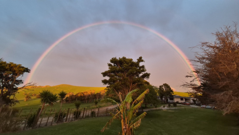 800x800 Our Paradise